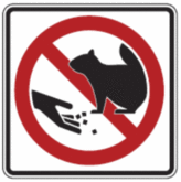 Do Not Feed Squirrels