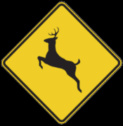 Deer Crossing Warning Sign